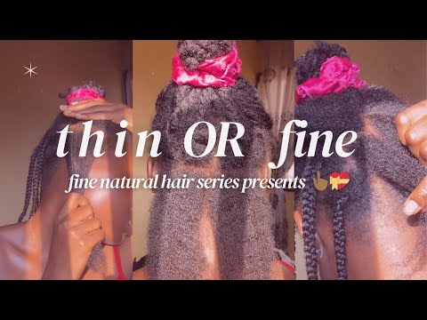 Is your hair Thin or Fine? + the most underrepresented hair type+ pro hairstylists terminology. 