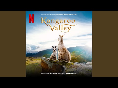 Welcome to the Valley