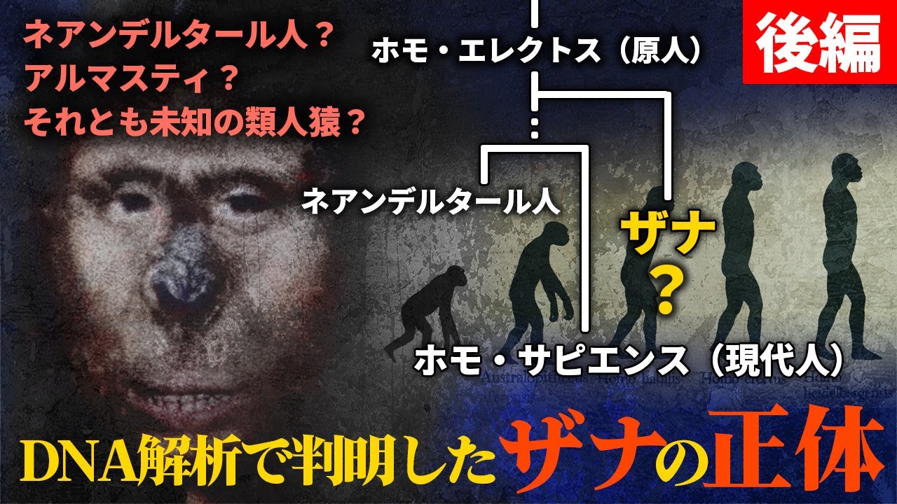 「後編」130年の時を経て判明した“獣人少女ザナ”の正体、19世紀コーカサスの衝撃実話