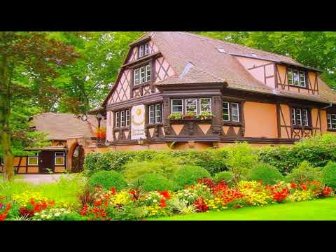 Ելոն Սարաֆյան Հայերեն