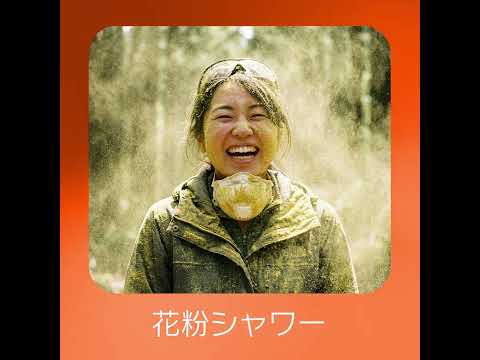 YAYOI CHAN RADIO FINAL