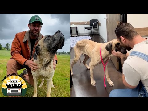 I have some very difficult news to share about our beloved Mildred | The Asher House