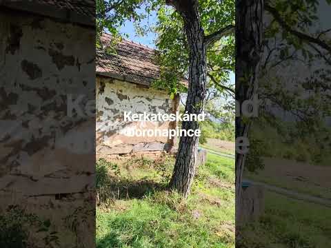 Eladó Gyümölcsös, Kerkateskánd 3847 m² 1.9 M Ft
