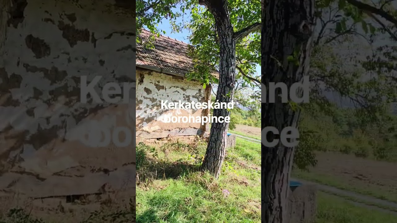 Eladó Gyümölcsös, Kerkateskánd 3847 m² 1.9 M Ft