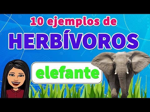 , title : '10 Ejemplos de Animales Herbívoros I ANIMALES HERBÍVOROS EJEMPLOS I Para tu TAREA FÁCIL Y RÁPIDO'