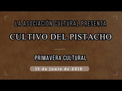 El cultivo del pistacho - Asociación cultural - Alko tv