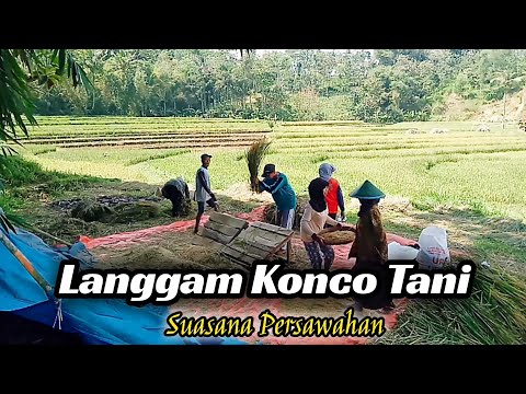 Langgam konco Tani - Ladiva Musik