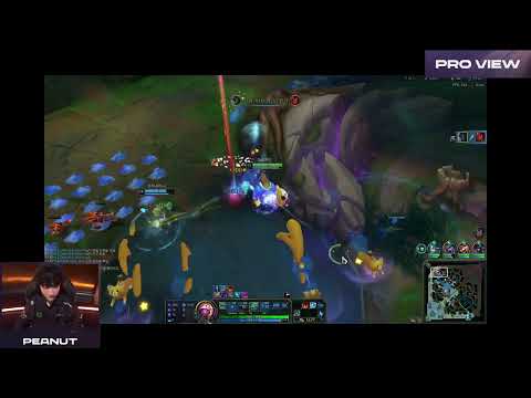 Peanut Pro View | HLE vs NS | LCK 2024 Spring