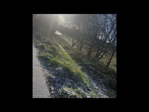 [SOLD] mixed matches x guardin x skele x nothing,nowhere. x sewerperson type beat - transparency.