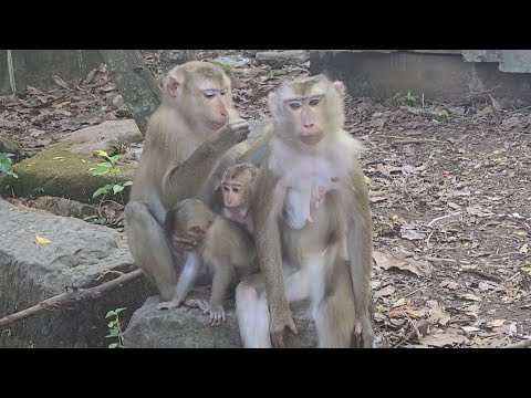 2 mom 2 bab.y Really happy