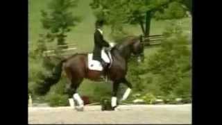 Horses do the Weasley Stomp~Dressage