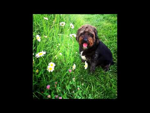 [FREE FOR PROFIT] Glaive x Ericdoa Hyperpop Type Beat - "reflection"