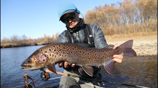 Приманки для рыбалки нахлыстома