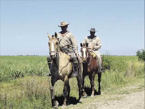 Jose larralde ( quien me enseño )
