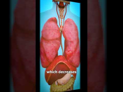 How An EpiPen Works 💉