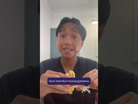 What is Ear Wax Really Made Of? | Earwax