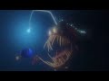 Finding Nemo Anglerfish Chase Music Sound Mix Full Scene