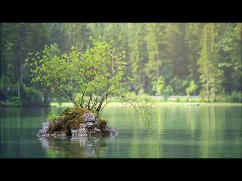 Meditacija - Otpuštanje otpora i dopuštanje