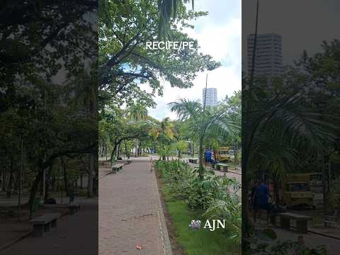 O belo Parque da Jaqueira no Recife, Pernambuco/Brasil. 🎥 Ademar Nascimento #recife #pernambuco