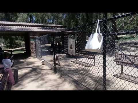 San dimas dog park.