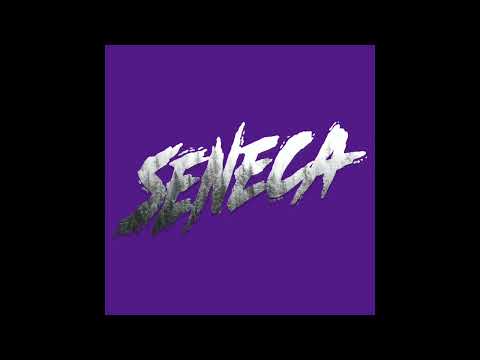 Seneca - DJ Shub