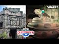 Best Themed Ride in Australia | Jungle Rush at Dreamworld FULL Queue Line Walkthrough
