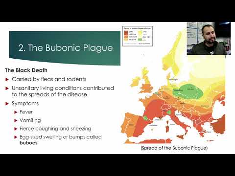 The Decline of Feudalism