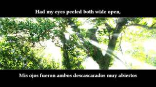 Pearl Jam - In My Tree + letra en español e inglés