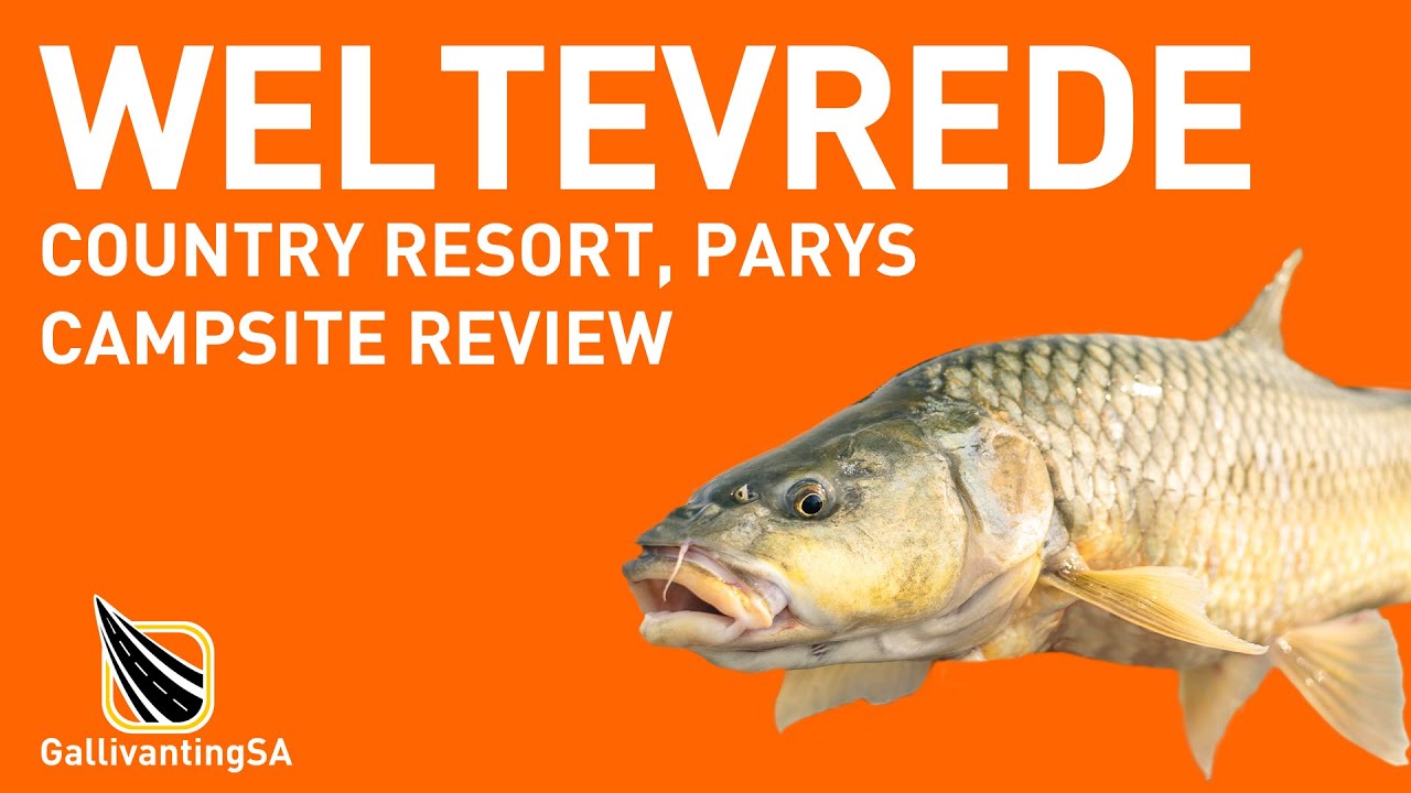 Weltevrede Country Resort - Campsite Review - October 2023