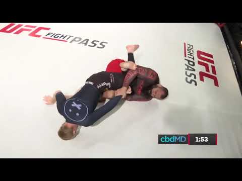 Gabriel Gonzaga vs  Hunter Colvin