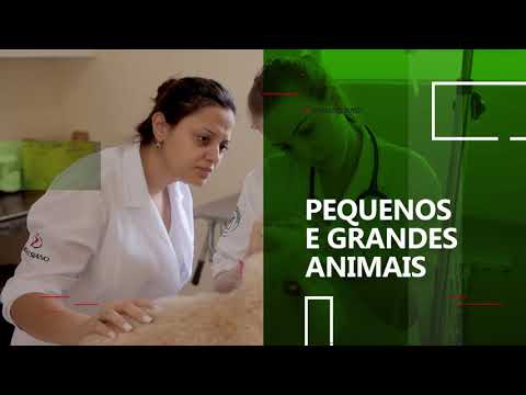 Medicina Veterinária é no UniSALESIANO Araçatuba