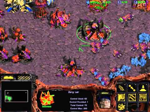 StarCraft Brood War Zerg 8: To slay the beast