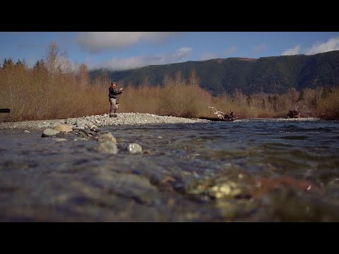 Discover Fly Fishing on the Cowichan River - Tourism Cowichan