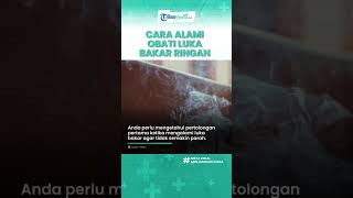 Langkah Tepat Atasi Luka Bakar dengan Obat Alami, Oleskan Lidah Buaya hingga Kunyit