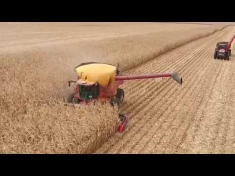 Nie gadaj przez telefon w trakcie pracy...