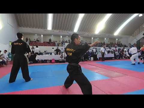 COPA BONSAI 2019(17)