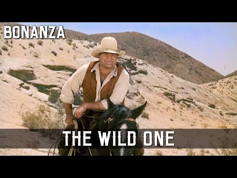 Bonanza - The Wild One | Episode 171 | Cowboy Series | Classic Series | WESTERN | English