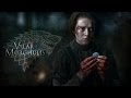 The Arya Stark Story - Valar Morghulis - extended ...