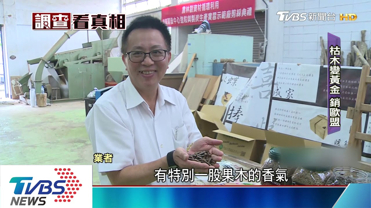 枯木變黃金! 廢木枝製生質顆料銷歐盟