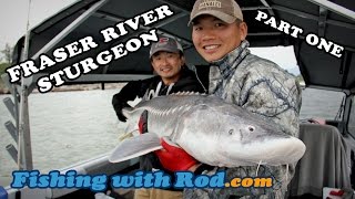 Download lagu Fishing with Rod: Fraser River Sturgeon, Part One mp3 Download lagu Fishing with Rod: Fraser River Sturgeon, Part One mp3