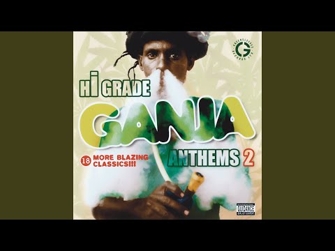 Video thumbnail for Jamaican Collie