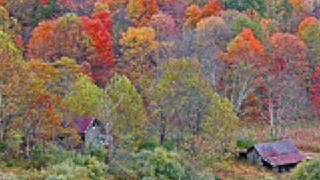 Don McLean: Castles In The Air