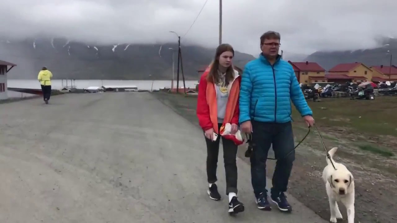 YouTube video