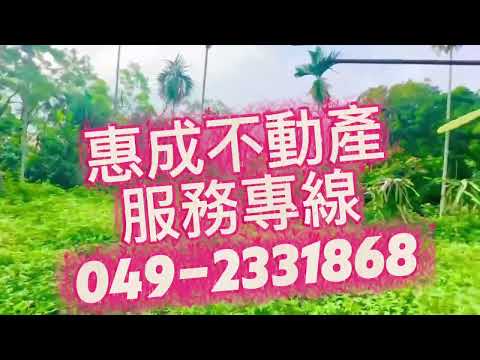 鹿谷鄉-新鹿谷段農地/山坡地出售 第1張共12張