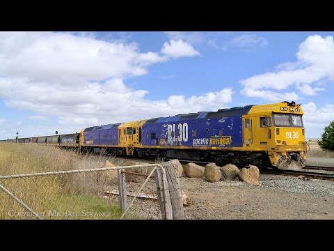 7732V Pacific National Grain Train With BL30 & BL31 At Gheringhap Loop (14/2/2024) - PoathTV Railway