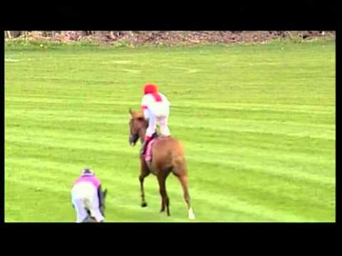 München-Riem, Preis vom Gestüt Ittlingen, 1.5.2012 - Sieger: Lysino