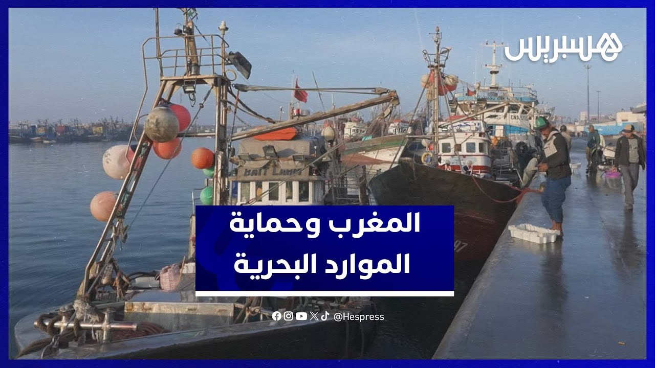 الصيد المستدام.. الإجراءات التنظيمية لقطاع الصيد المغربي وكيف يحمي المغرب موارده البحرية؟ thumbnail