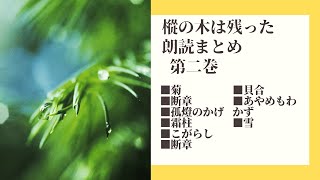 【朗読時代小説】樅の木は残った　まとめ　第二巻　　山本周五郎作　　朗読七味春五郎　　発行元丸竹書房　　#275