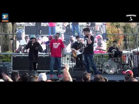 ACDPZoo3F - Tres de Febrero - Semifinal ACDPJr 2017 - Meg vs Ginko