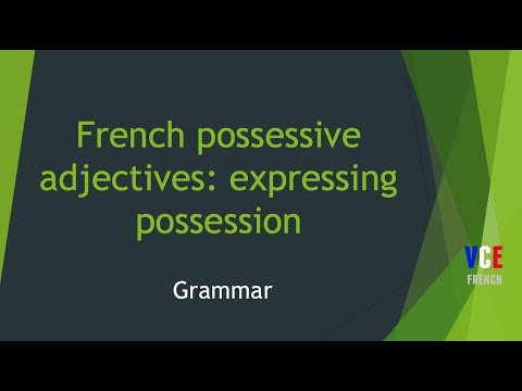 French possessive adjectives: expressing possession